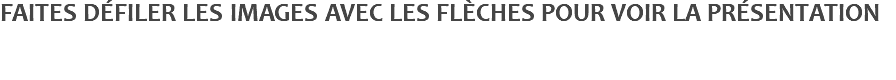 FAITES DÉFILER LES IMAGES AVEC LES FLÈCHES POUR VOIR LA PRÉSENTATION